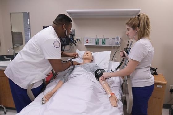 Photo of a Chatham University student watching an instructor demonstrate a procedure on a model of an adult