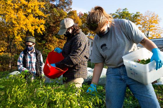 Photo of Chatham University graduate students harvesting the agroecology garden on Eden Hall Campus