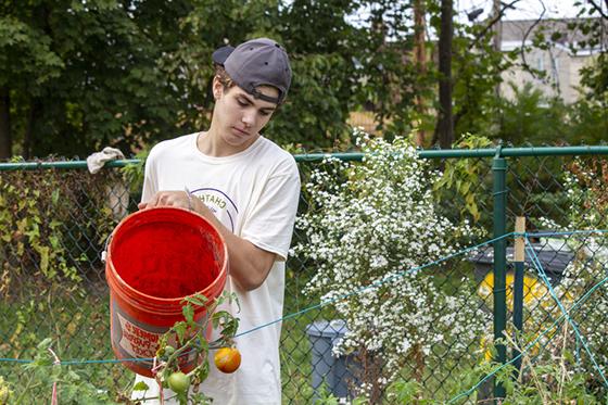 Photo of a male Chatham University student working in a garden